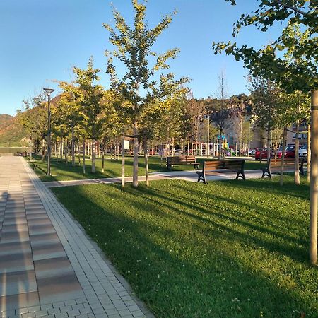 Apartman Sani Donji Milanovac Buitenkant foto