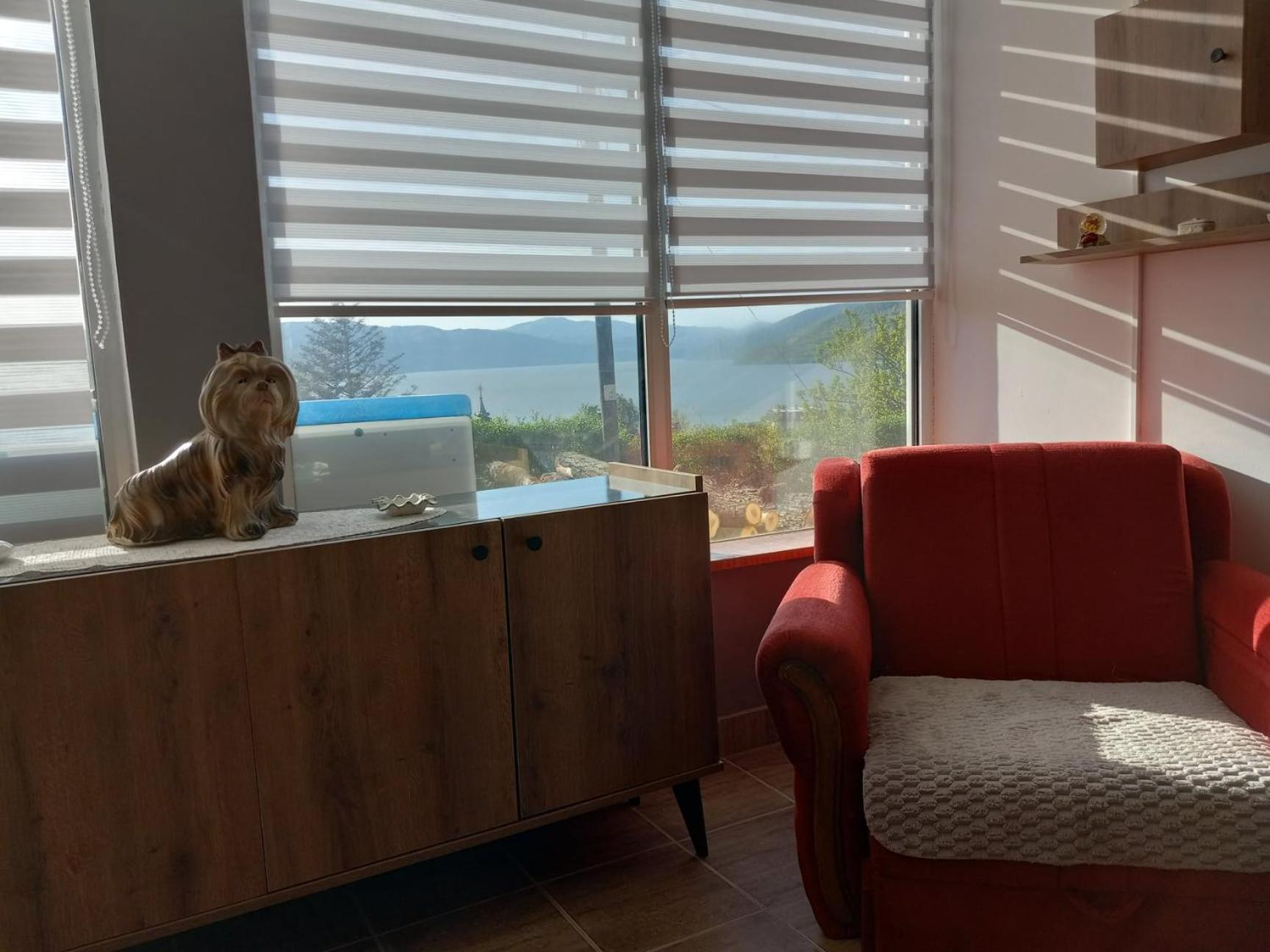Apartman Sani Donji Milanovac Buitenkant foto