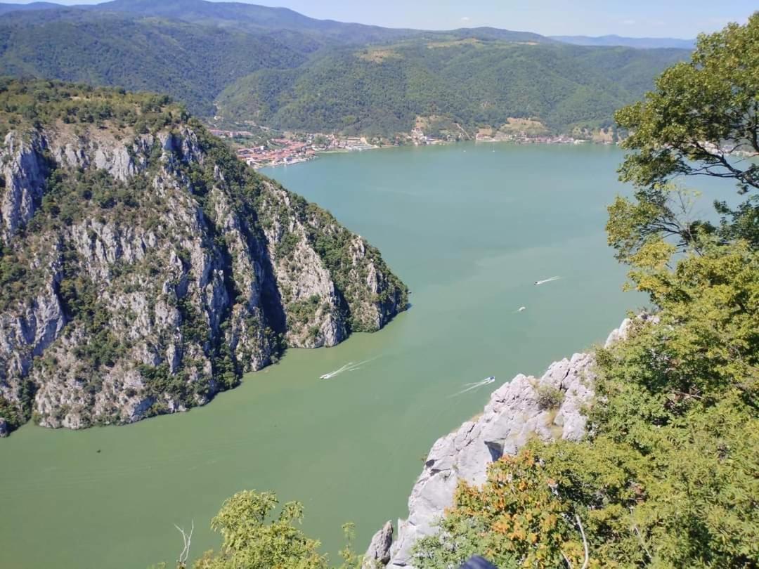 Apartman Sani Donji Milanovac Buitenkant foto