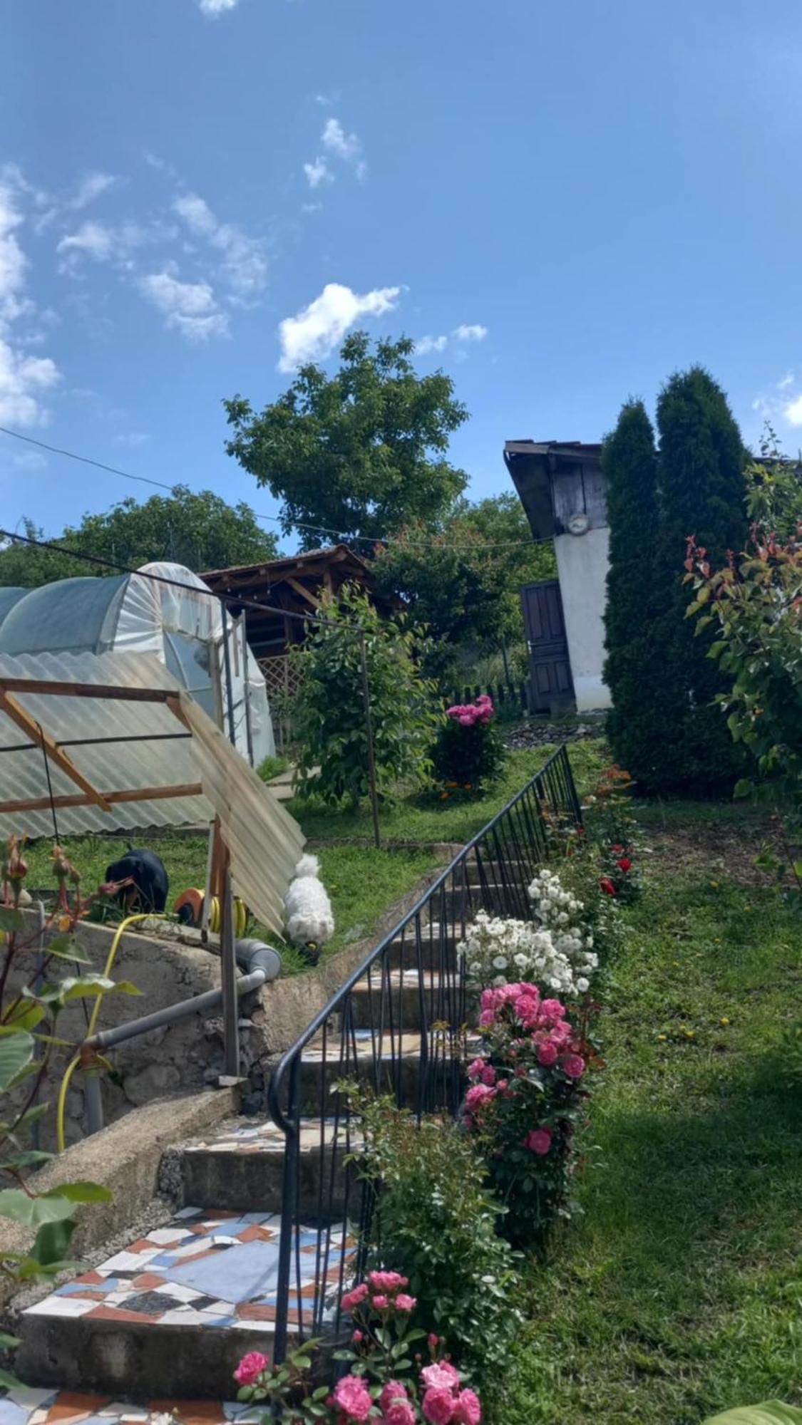 Apartman Sani Donji Milanovac Buitenkant foto